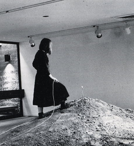 &nbsp;Meg Webster, Hillwood Art Gallery, Long Island University, New York, 1987.